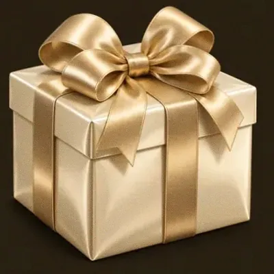 Ribboned gift box — Bsb007
